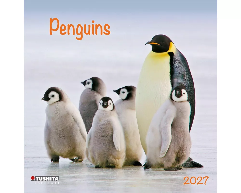 Penguins 2027