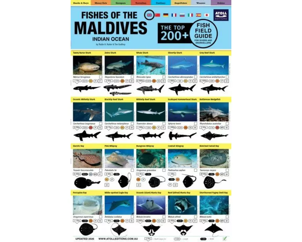 Maldives Fish Field Guide "Top 200+"
