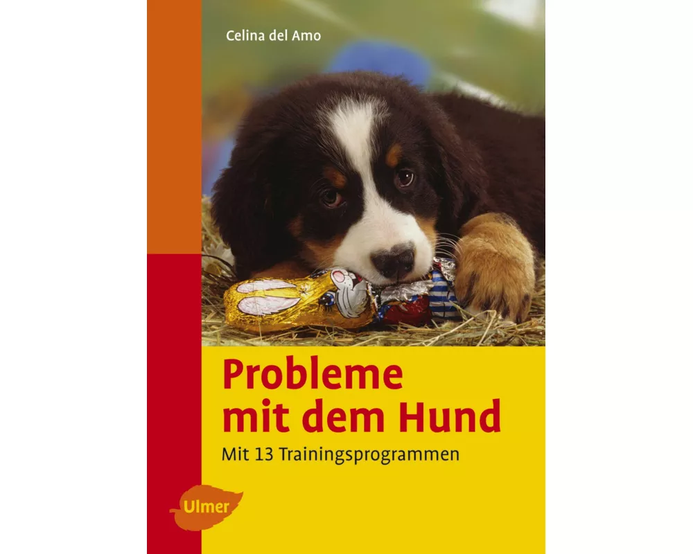 Probleme mit dem Hund