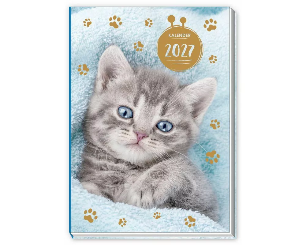 TRÖTSCH - Taschenkalender A7 Katze 2027
