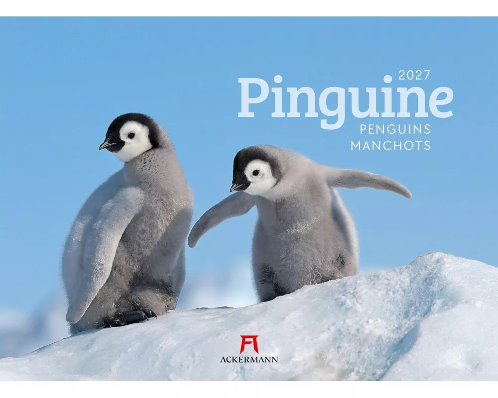 Pinguine Kalender 2027