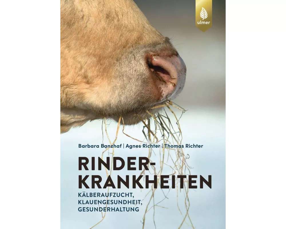 Rinderkrankheiten-Rinder gesund halten