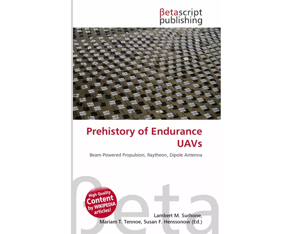 Prehistory of Endurance UAVs