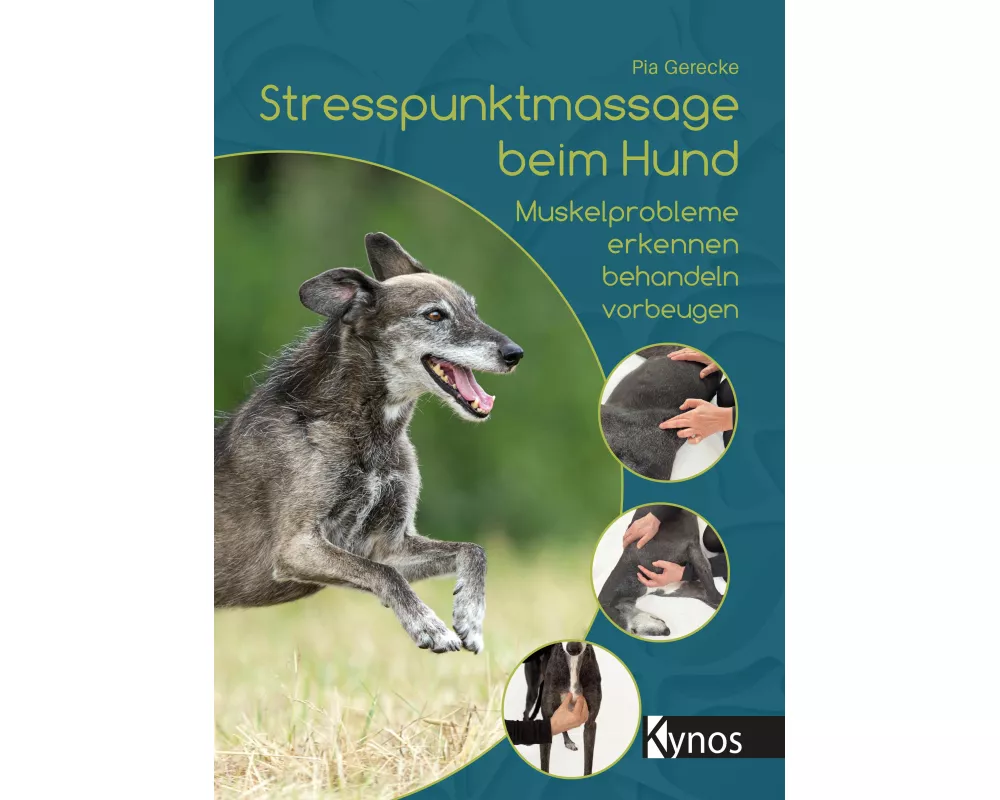 Stresspunktmassage beim Hund
