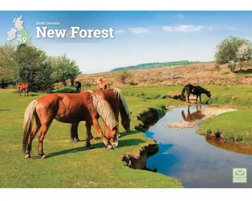 New Forest A4 Calendar 2026