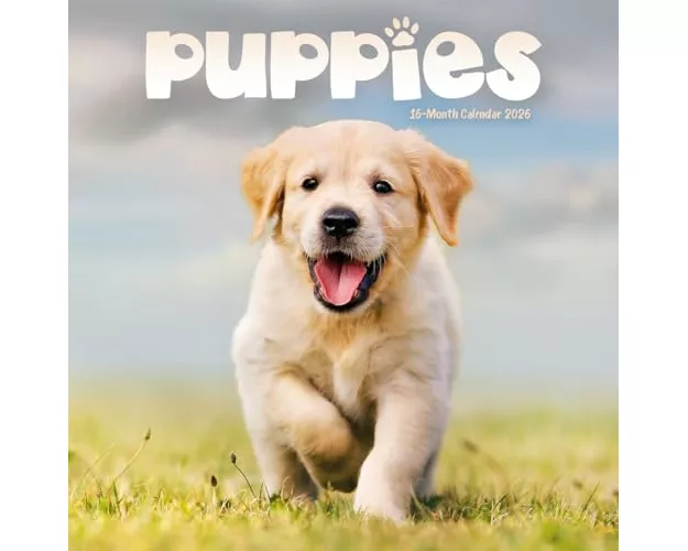 Puppies Square Mini Sunday Start Calenda