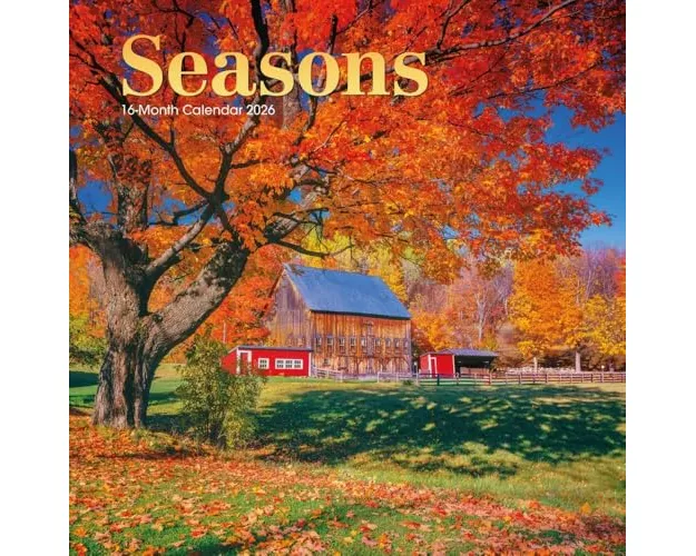 Seasons Square Wall Sunday Start Calenda