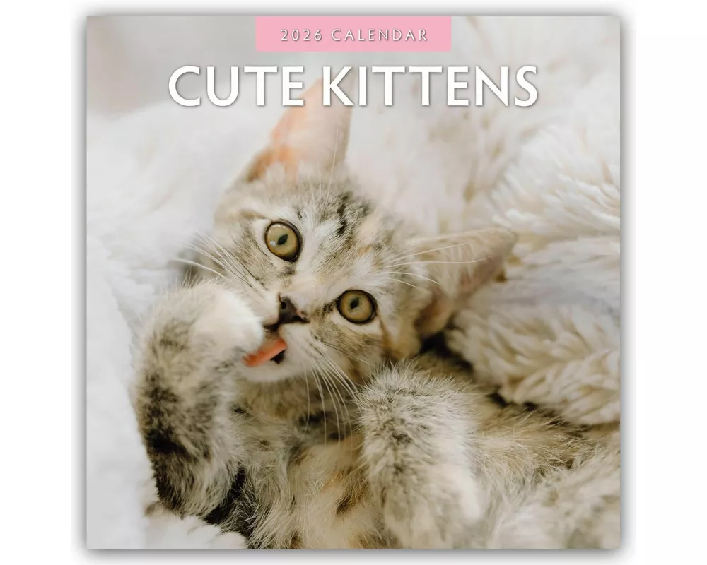 Cute Kittens 2026 Square Wall Calendar