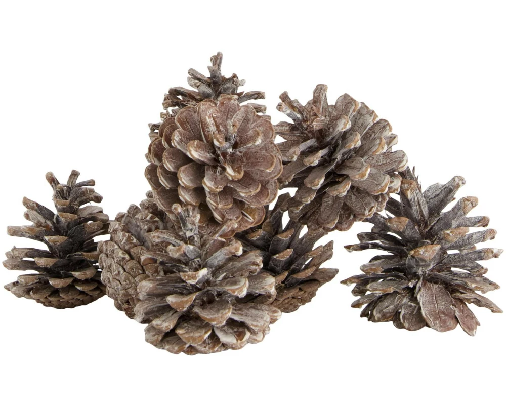 CHALET Streudeko Tannenzapfen 200 g, Braun