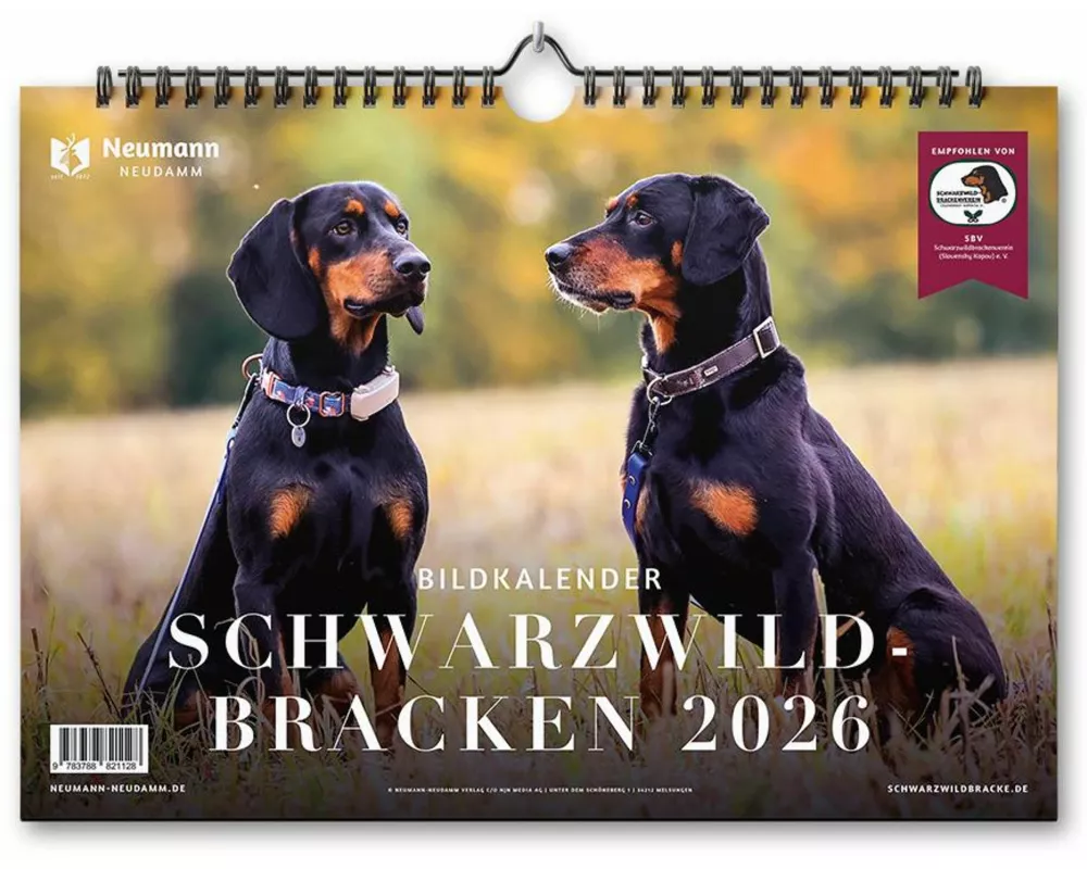Schwarzwildbracken 2026