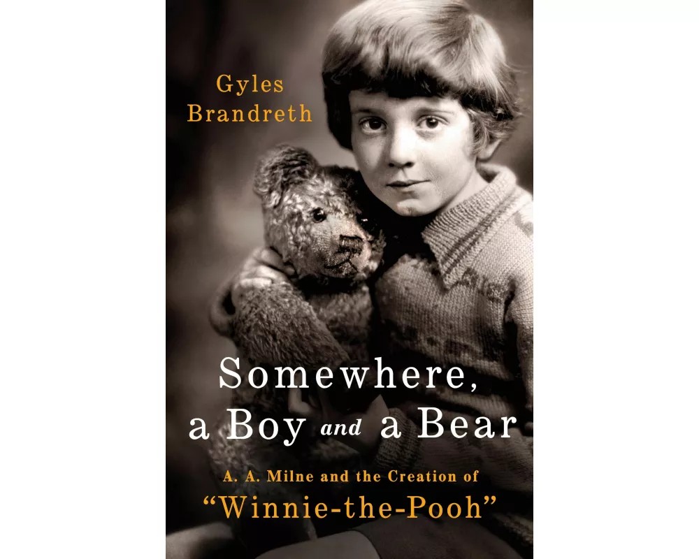 Somewhere, a Boy and a Bear