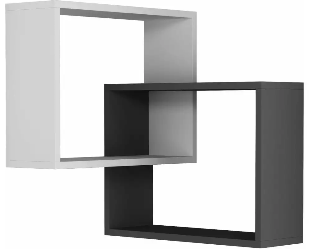 Woody Fashion Wandregal Ring 68 x 68 x 60 cm, Schwarz/Weiss