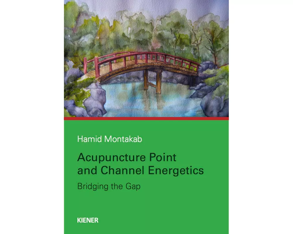 Acupuncture Point and Channel Energetics