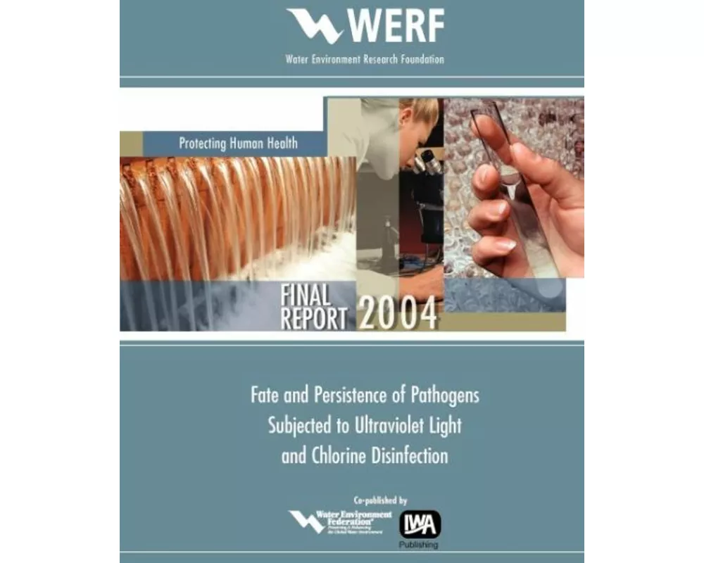 Fate and Persistence of Pathogens Subjected to Disinfection