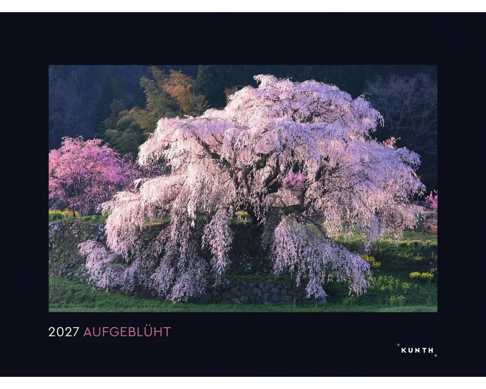 Aufgeblüht - KUNTH Wandkalender 2027