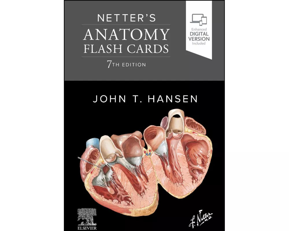 Netter's Anatomy Flash Cards