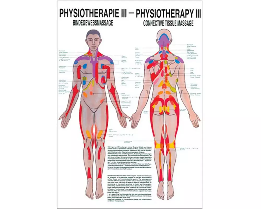 Rüdiger Physiotherapie-Poster – Bindegewebsmassage Deutsch/Englisch