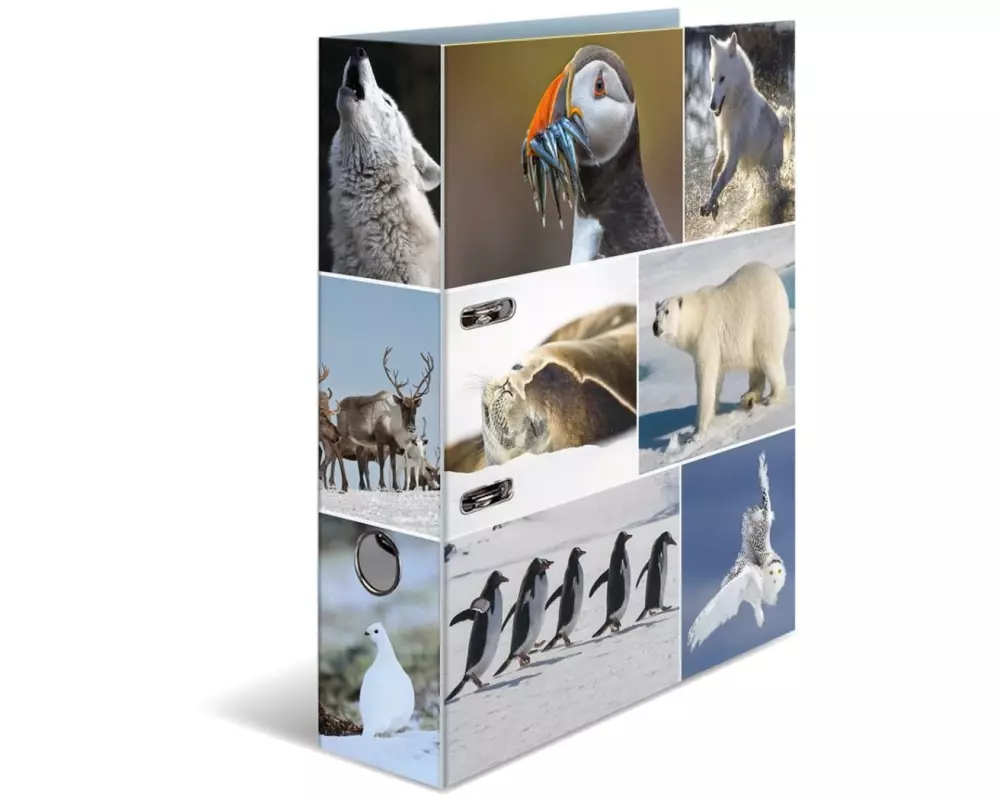 HERMA Ordner Eiswelten 7 cm, Mehrfarbig