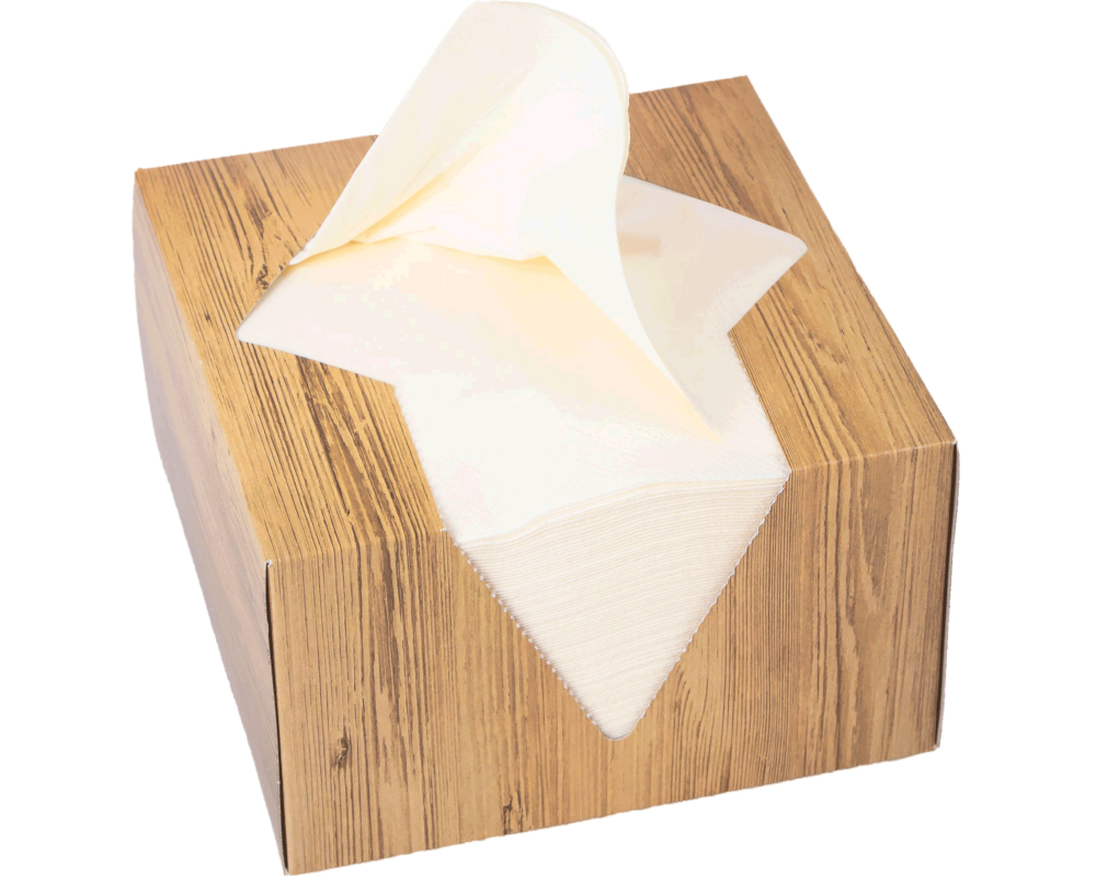 ELCO Serviettenbox 33x33cm 33402100-004 3-lagig, crème 100Stk.