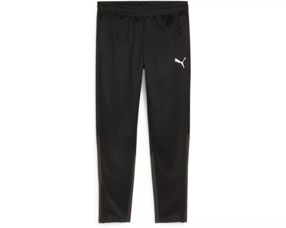 PUMA Pant teamGOAL Training L, Schwarz