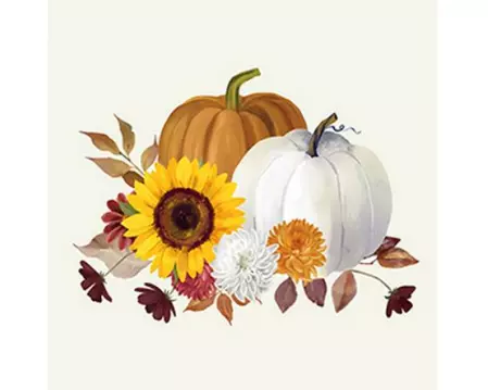 Braun + Company Papierservietten Pumpkin blanc de blanc Beige, 20 Stück