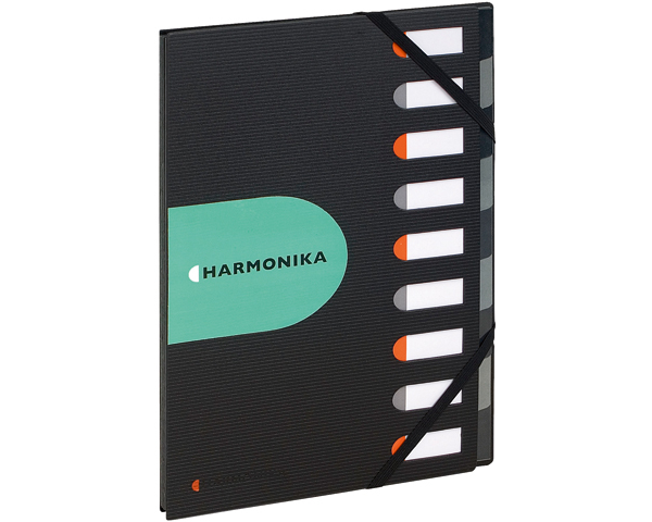 EXACOMPTA EXACTIVE Harmonika A4 55334E schwarz