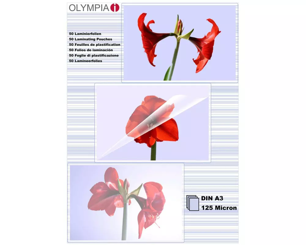 Olympia Laminierfolie A3, 125 µm, 50 Stück, Glänzend