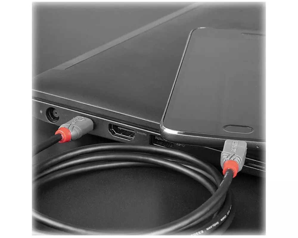 LINDY 1m USB 2.0 Type C to Micro-B Cable Anthra Line USB Type C Male to Micro-B Male