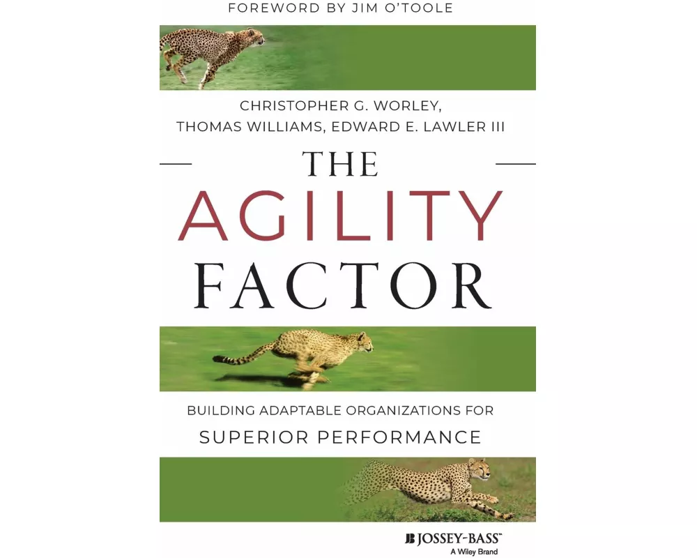 The Agility Factor