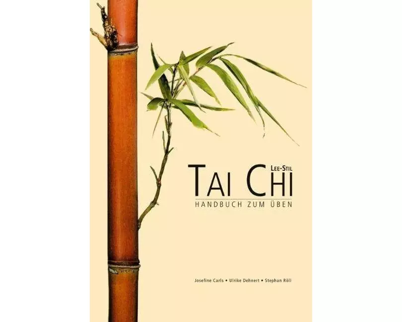 Tai Chi Lee Stil