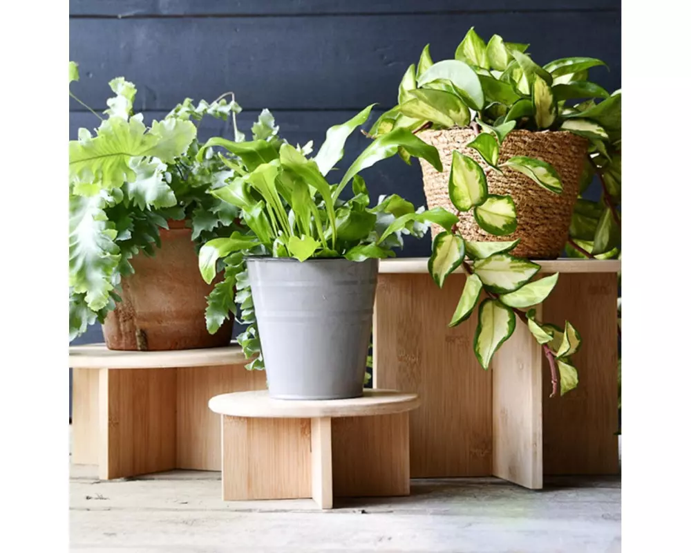 Esschert Design Pflanzenständer M Ø 25 cm, Nature