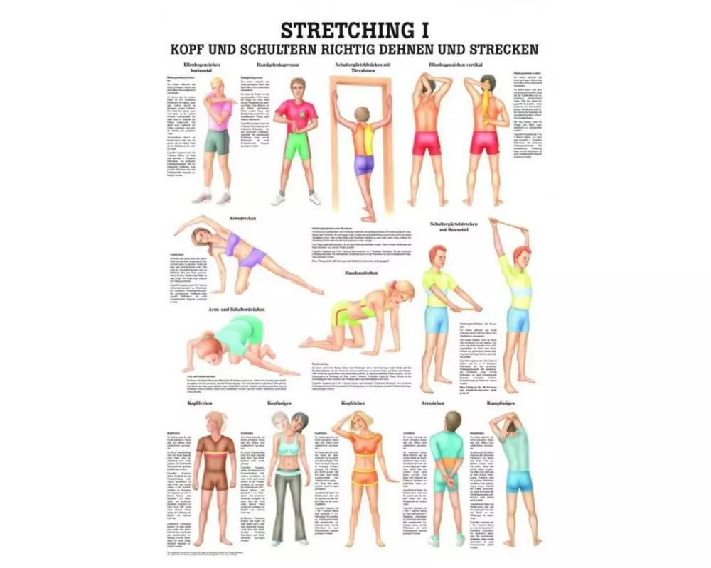 Rüdiger Anatomische Lehrtafel Stretching I Kopf & Schultern Deutsch