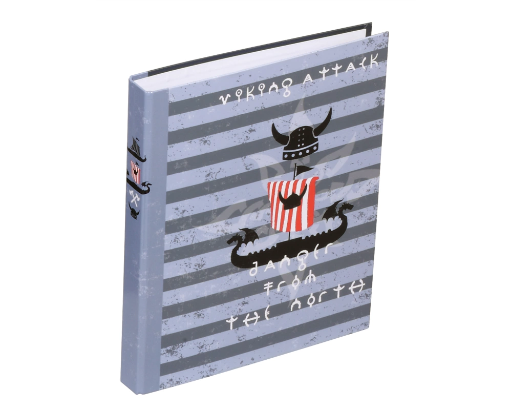 PAGNA Ringbuch Wikinger A4 20766-15 20mm, 2 Ringe