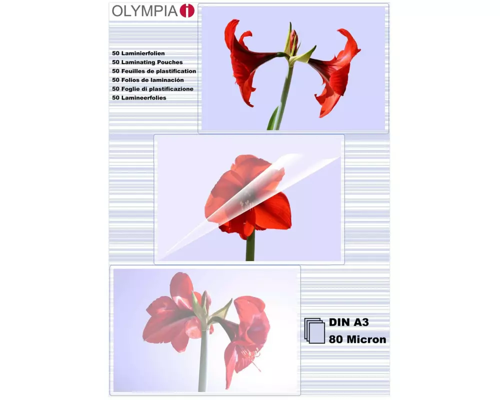 Olympia Laminierfolie A3, 80 µm, 50 Stück, Glänzend