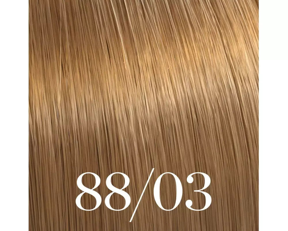 wella Haartönung Color Touch Plus 88/03 60 ml