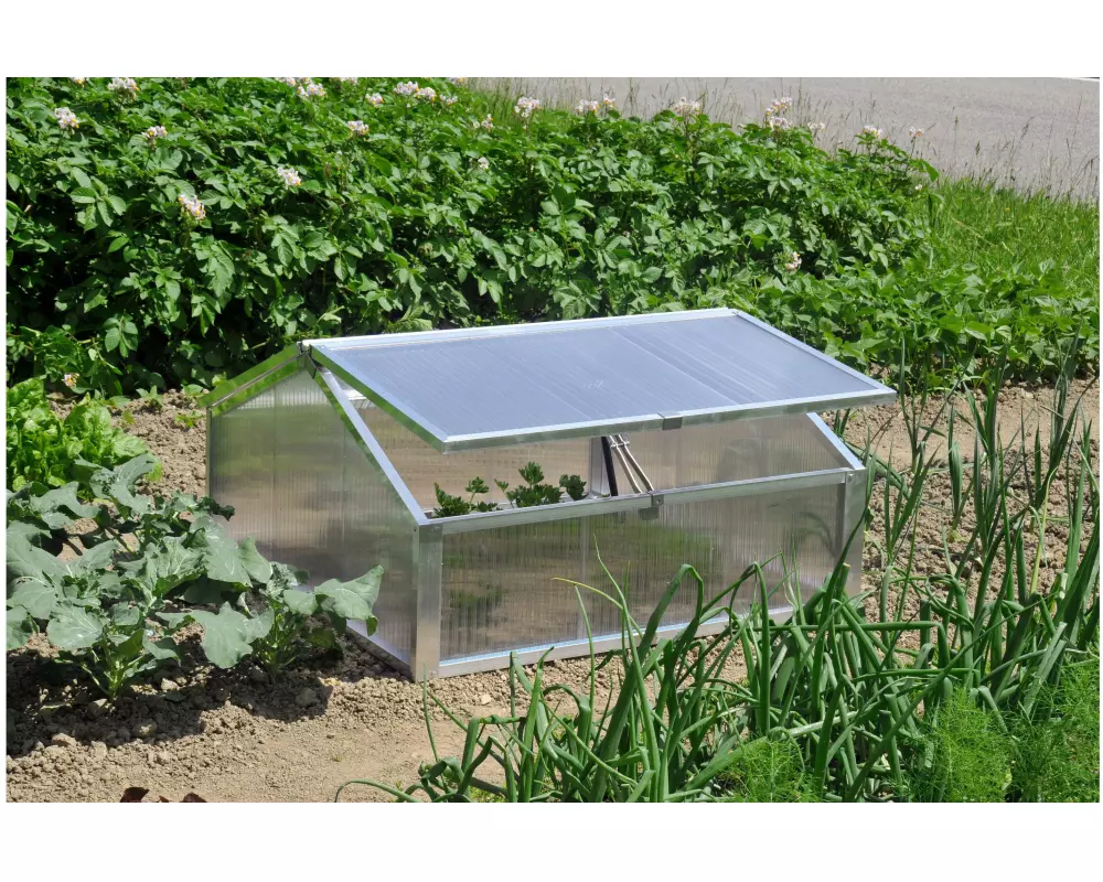 Colibri Frühbeetkasten 103 x 103 x 34/56 cm