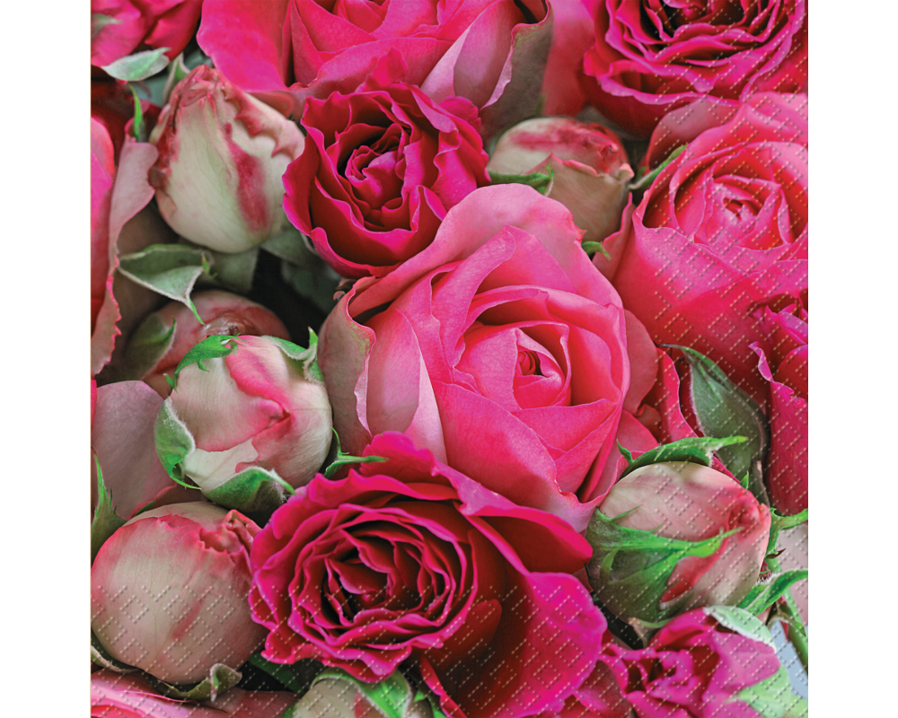 STEWO Serviette Rapsody 33x33cm 2572598229 pink dunkel 20 Stück