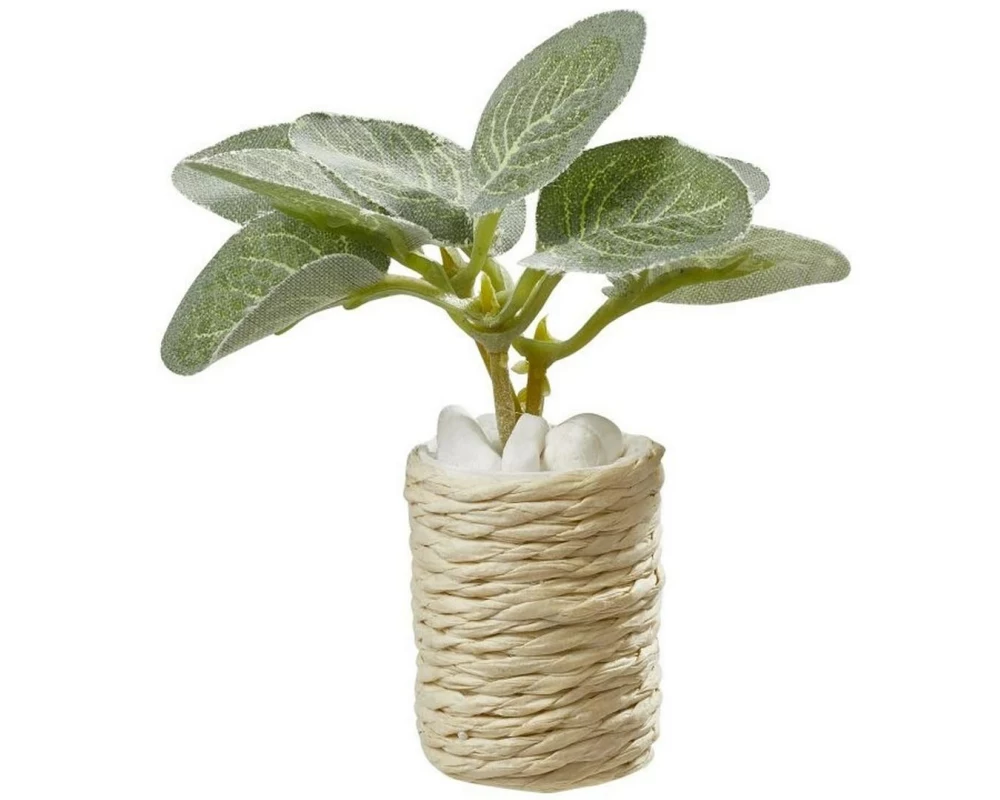 HobbyFun Mini-Utensilien Zimmerpflanze