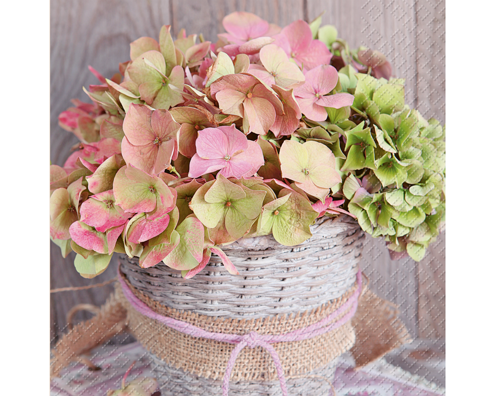 STEWO Servietten 33x33cm 2572680936 Erla FSC li 20 Stück