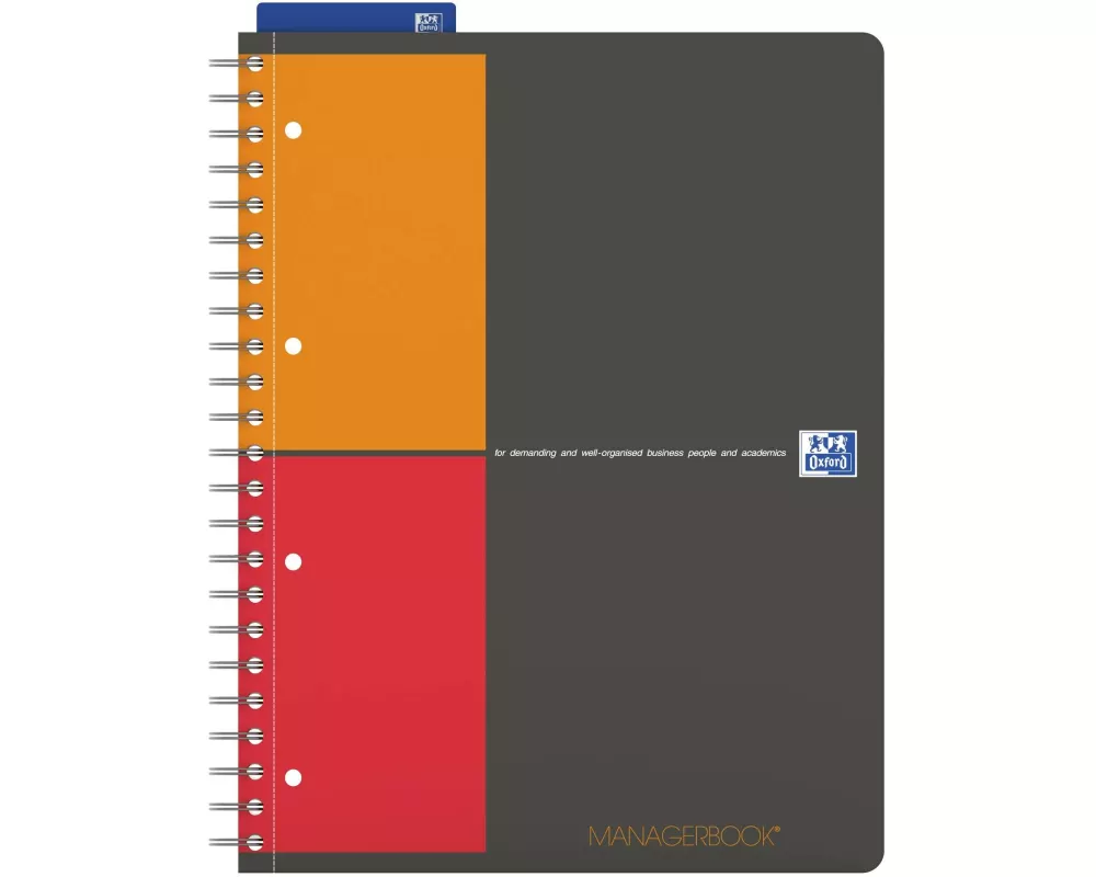 Oxford Notizbuch International Managerbook, A4 +, Liniert, Grau