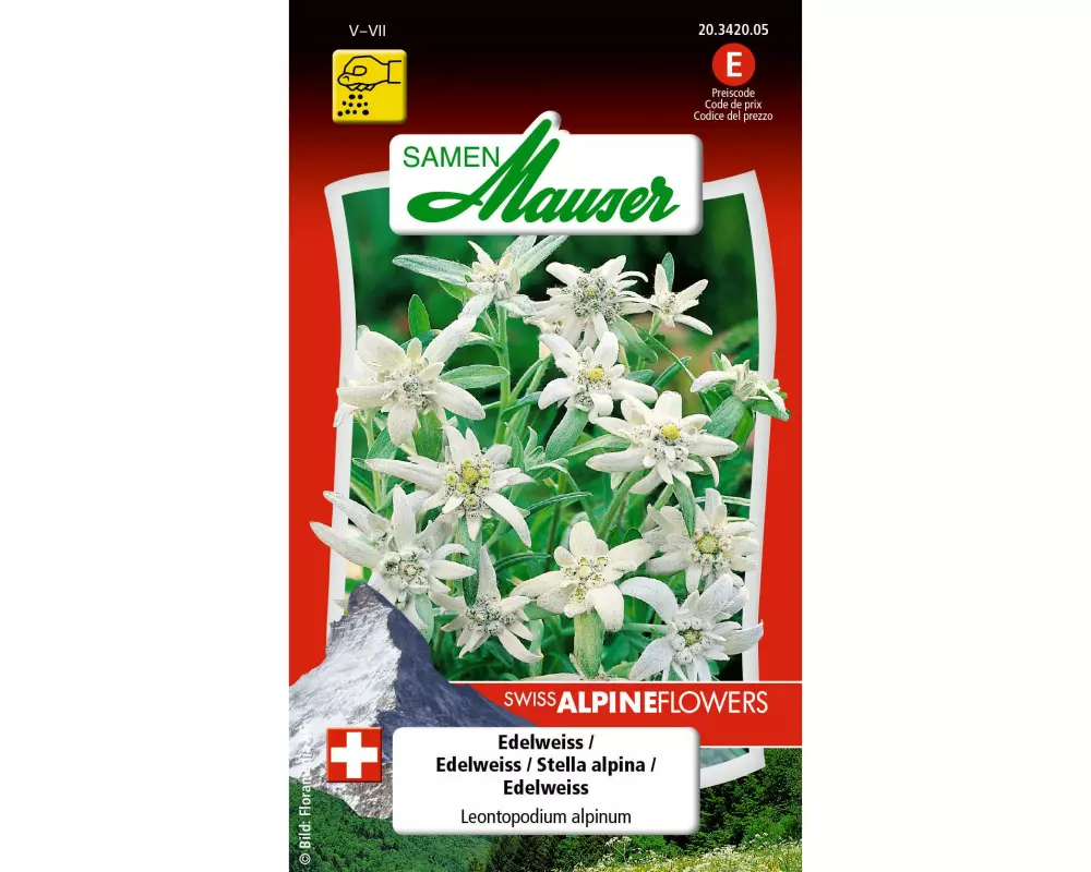 Samen Mauser Alpenblumen Edelweiss