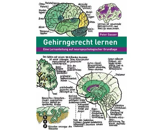 Gehirngerecht lernen