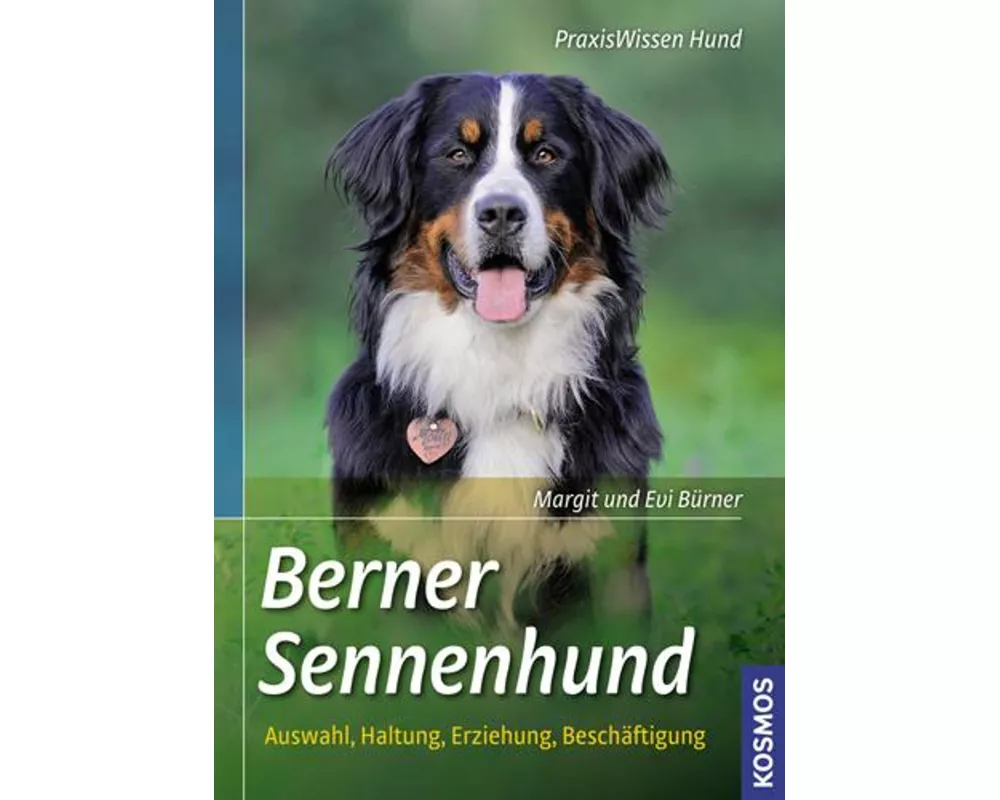 Berner Sennenhund