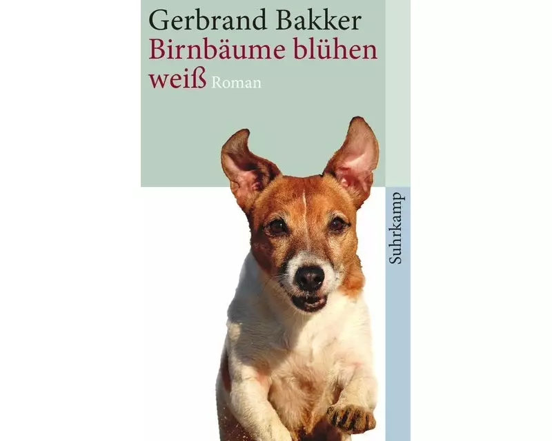 Birnbäume blühen weiss