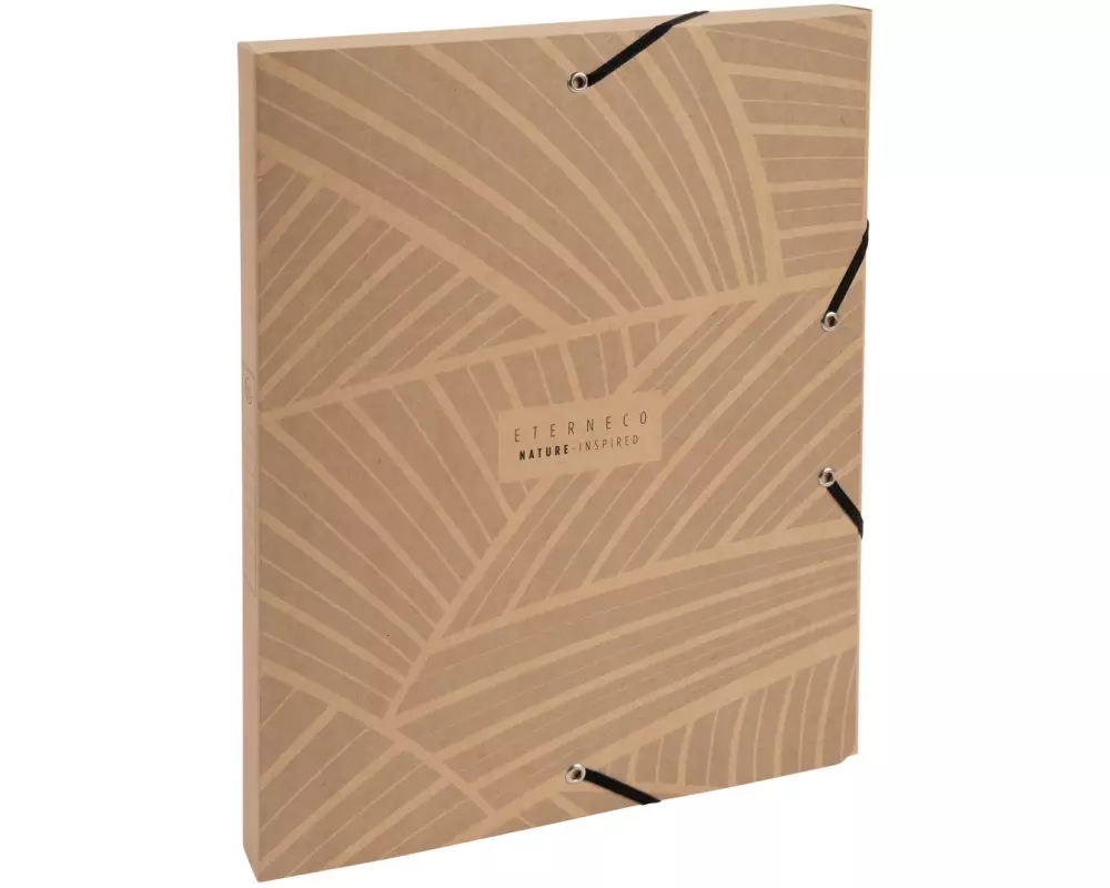 Exacompta Sammelbox Eterneco, 8 Stück, Assortiert