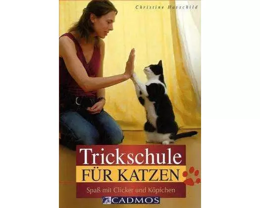Trickschule für Katzen