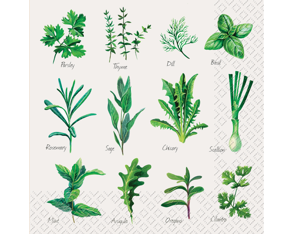 STEWO Serviette Herb 33x33cm 2572598745 grün 20 Stück