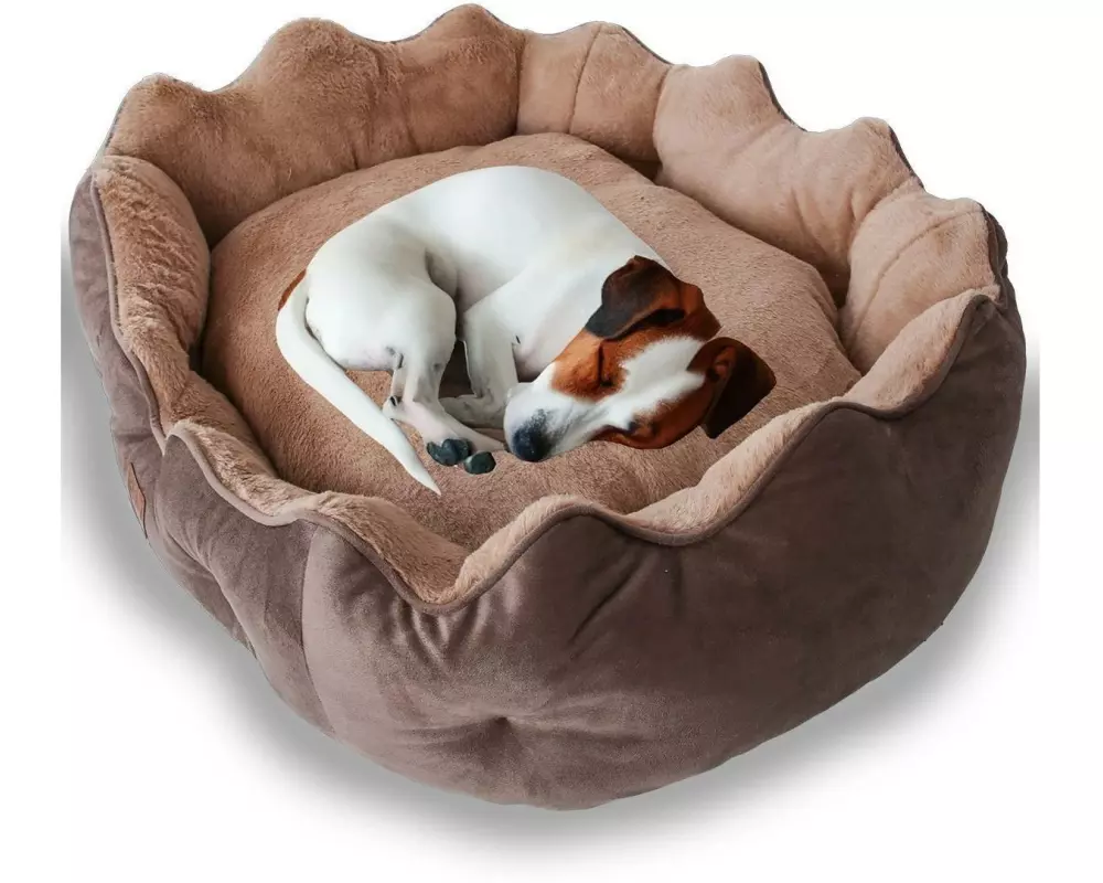 Paws & Whiskers Hunde-Bett Elsa Dog M Braun