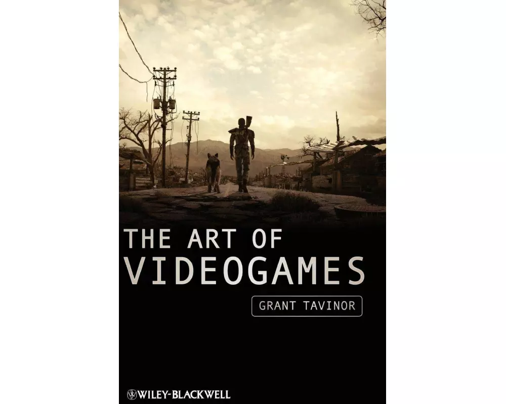 The Art of Videogames
