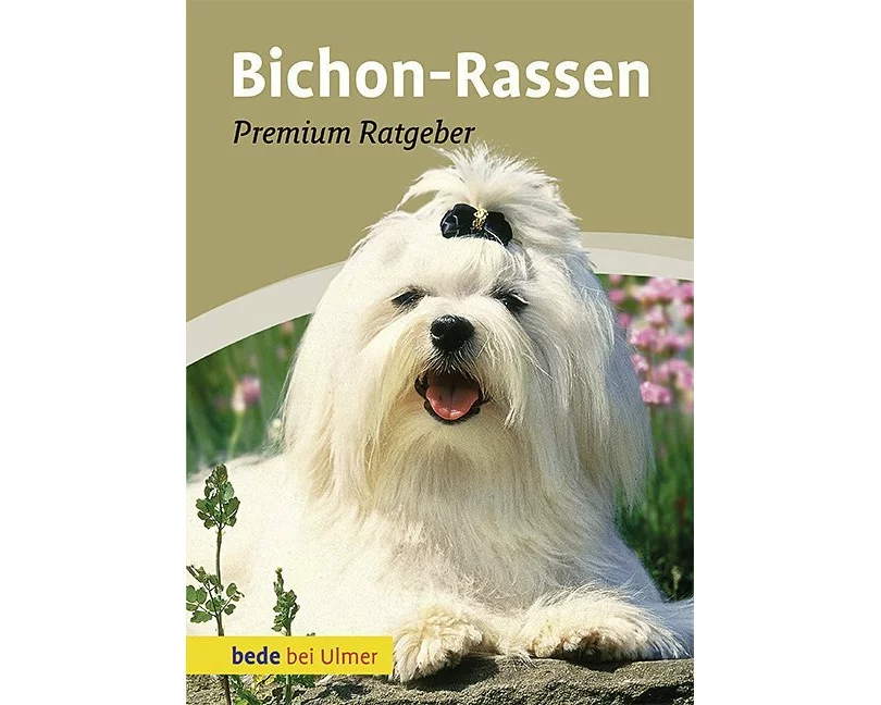 Bichon-Rassen